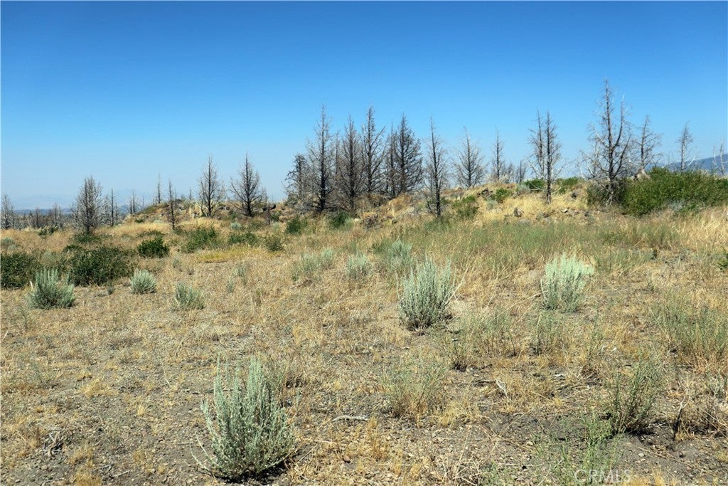 0 Juniper Valley