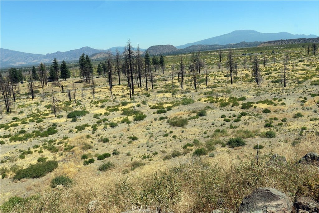 0 Juniper Valley