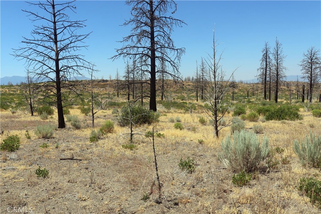 0 Juniper Valley