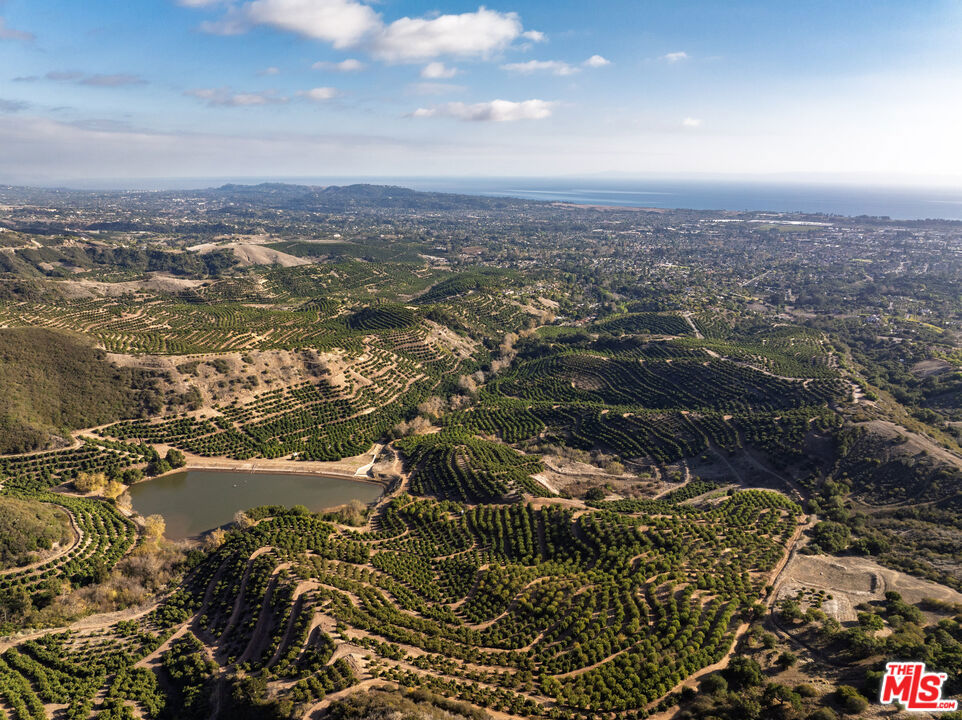 Rancho Del Ciervo - Land