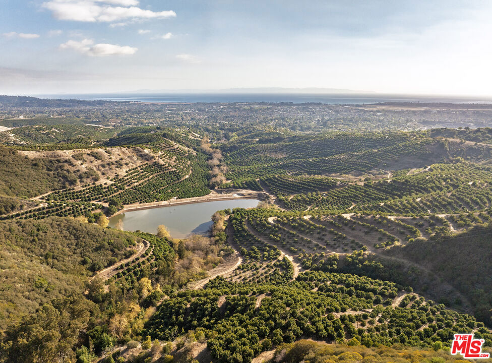 Rancho Del Ciervo - Land
