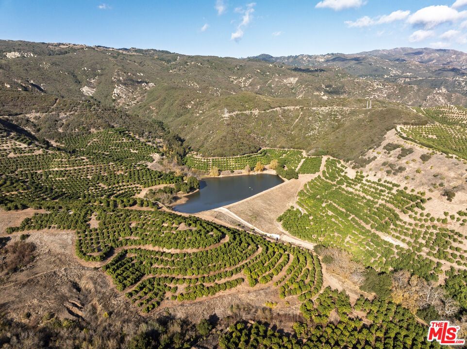 Rancho Del Ciervo - Land