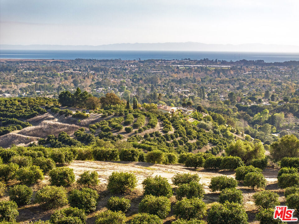Rancho Del Ciervo - Land