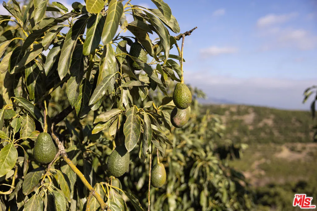 Santa Barbara, California 93111, United States, ,Land,Active,10081