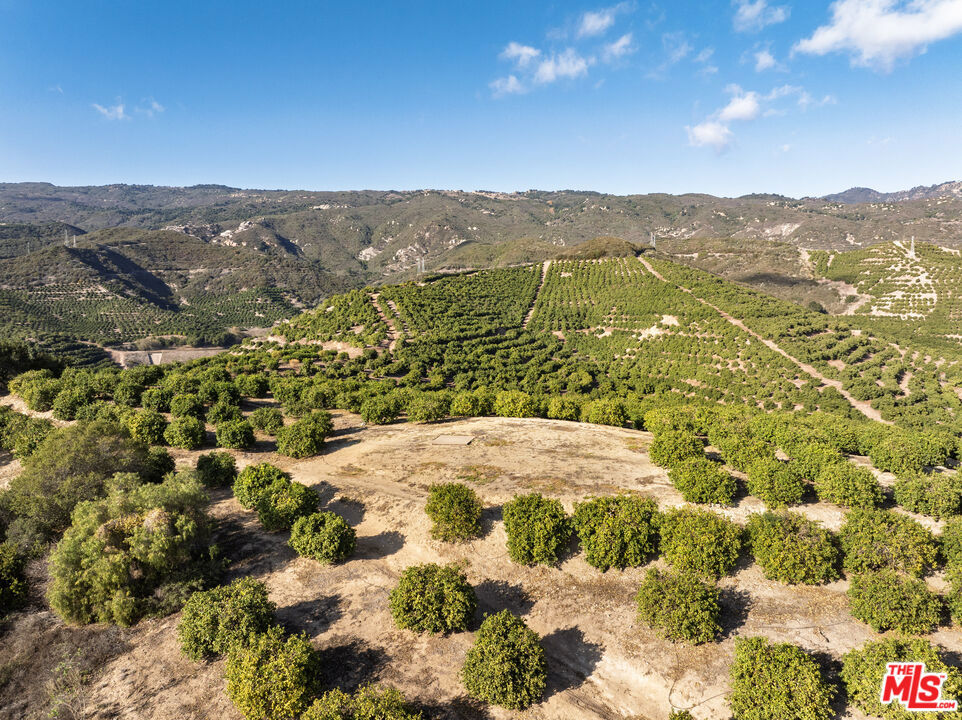 Rancho Del Ciervo - Land