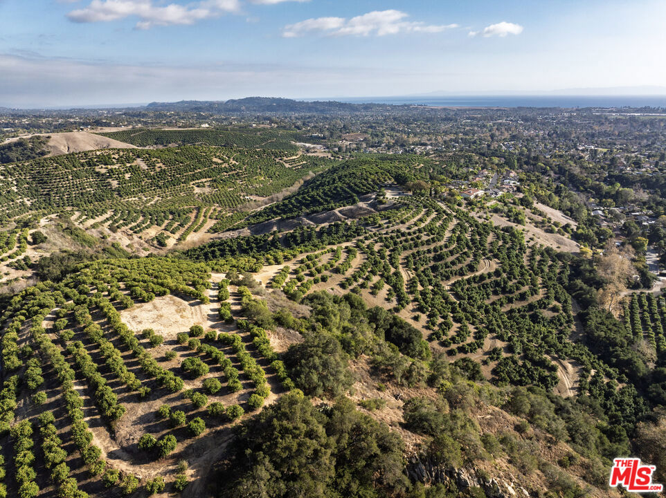 Rancho Del Ciervo - Land