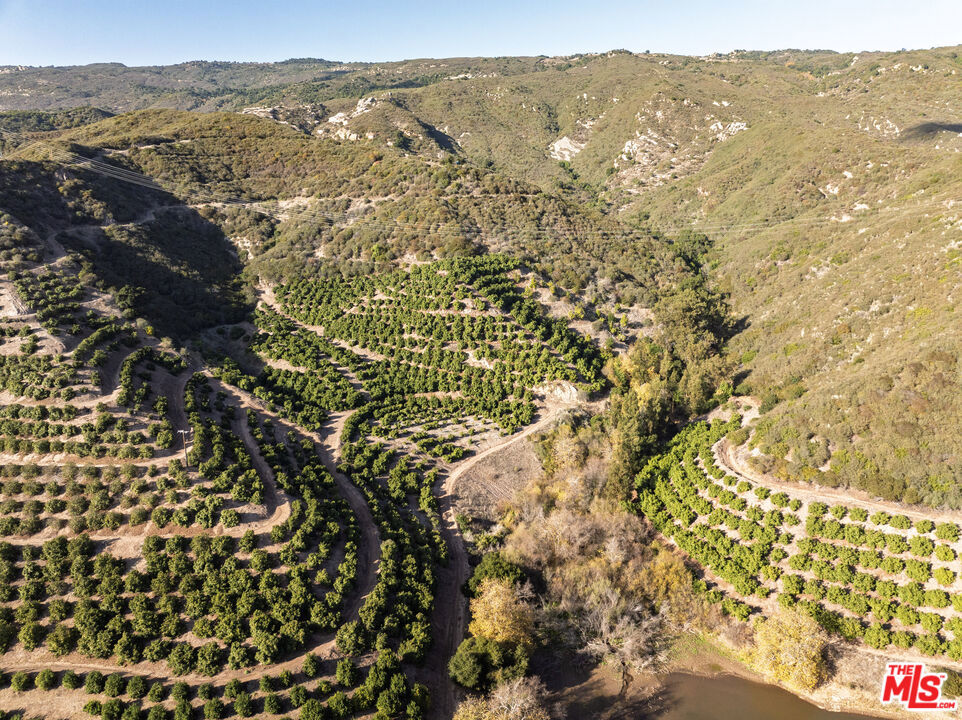 Rancho Del Ciervo - Land