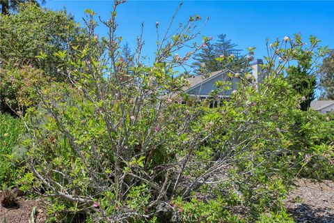 Tiny photo for 435 Eucalyptus Road, Nipomo, CA 93444 (MLS # PI26084468)