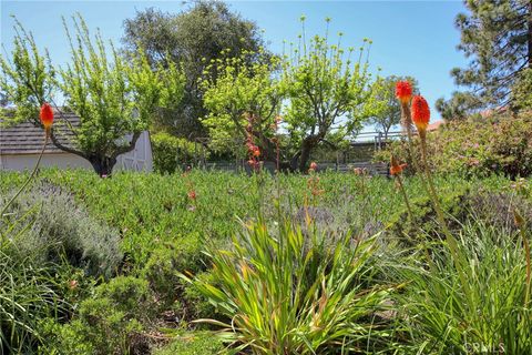 Tiny photo for 435 Eucalyptus Road, Nipomo, CA 93444 (MLS # PI26084468)