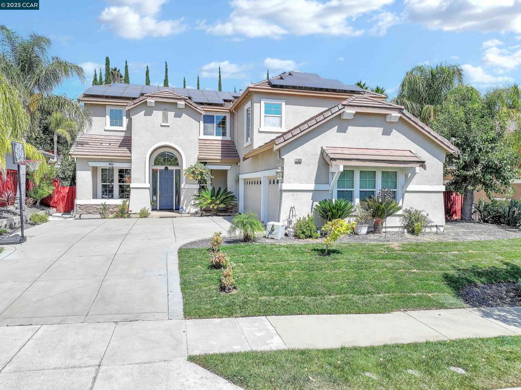 Experience resort-style living in this impressive 5-bedroom, 3-bath home with a spacious bonus room that can serve as a 6th bedroom or a cozy movie room which is theatre ready! The open floor plan features a generous family room and a refined living room, perfect for entertaining or everyday living. The kitchen is beautifully finished and flows seamlessly into the main spaces, creating a warm and inviting atmosphere. Step outside to your private retreat with a sparkling pool, heated by solar panels for extended swim seasons, surrounded by beautifully landscaped grounds. The yard also offers a variety of fruit trees, including guava, fuyu persimmon, apple, mulberry, jujube, and banana, bringing fresh seasonal harvests right to your home. Additional solar panels provide energy efficiency and long-term savings. Whether you’re hosting lively gatherings or enjoying peaceful moments by the pool, this home blends style, function, and sustainability. Located in a desirable neighborhood close to shopping, dining, and top local schools, it truly offers the ultimate East Bay retreat. https://youtu.be/aMY8R3c_ppY