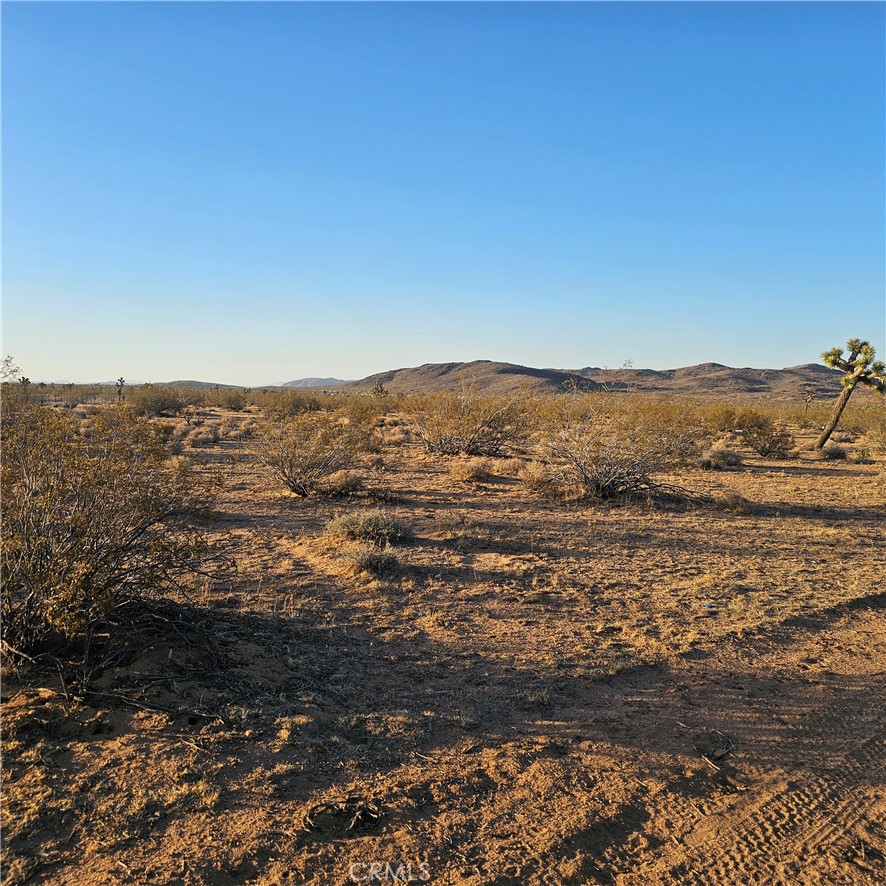 Embrace the serene beauty and boundless potential of the Hi-Desert with this exceptional 2.5-acre parcel, perfectly situated in this desirable community of Yucca Mesa. This property offers breath taking panoramic views of the surrounding mountains and the iconic desert landscape. Whether you are looking to invest in raw land or escape the city for peace and space, this High-Desert gem offers great potential!