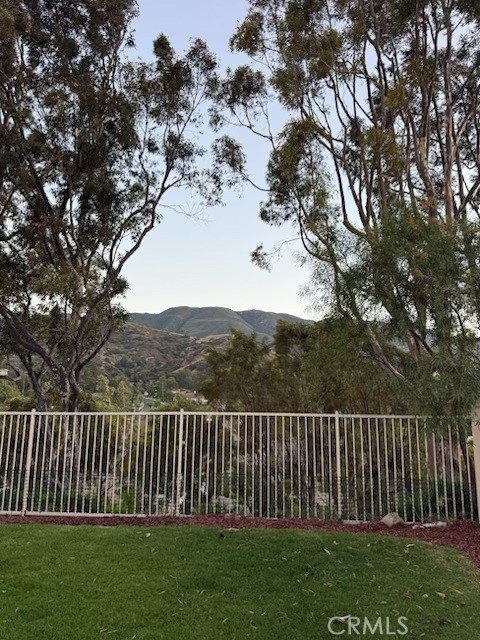 3524 Grey Bull Lane