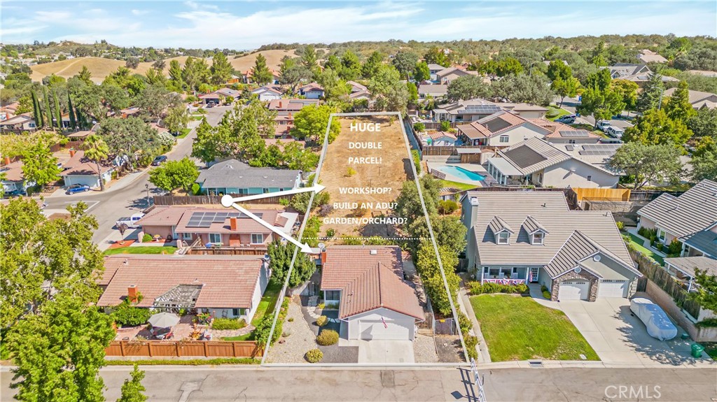 331 Wild Mustard Lane