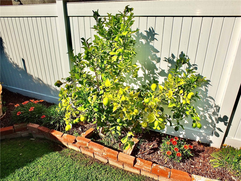 South of Conant Southwest (SSW) - Residential