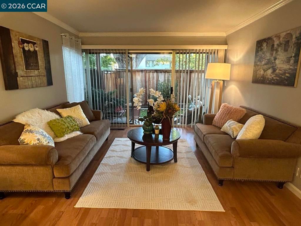 34 Massolo Dr DR