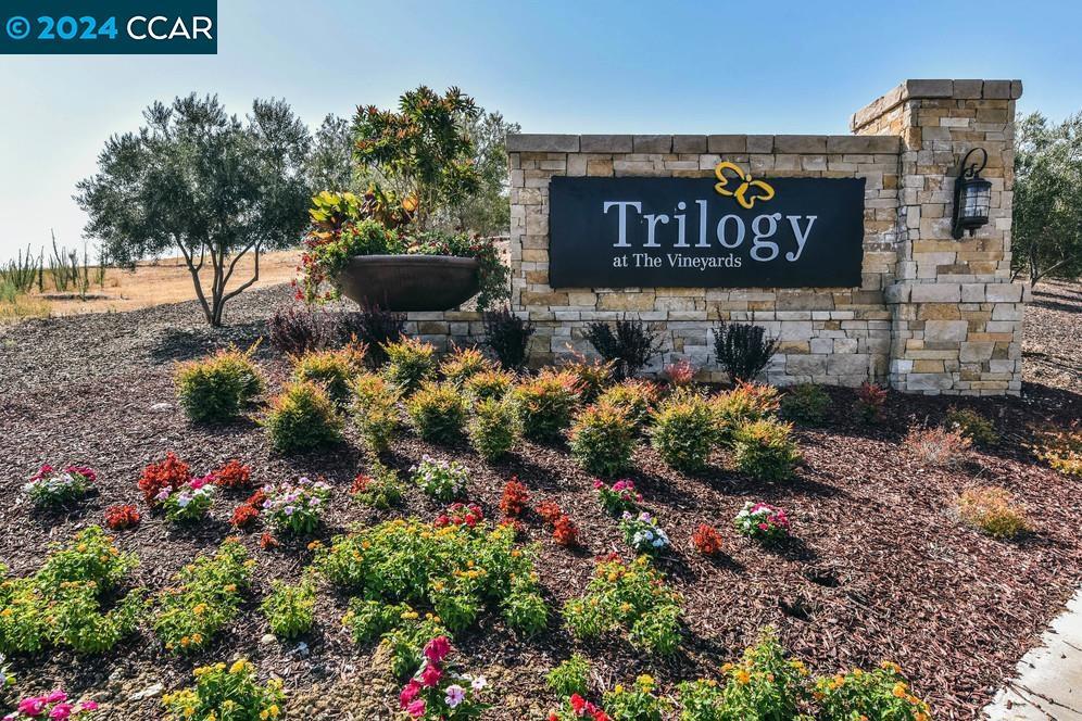 TRILOGY VINEYARDS - Residential