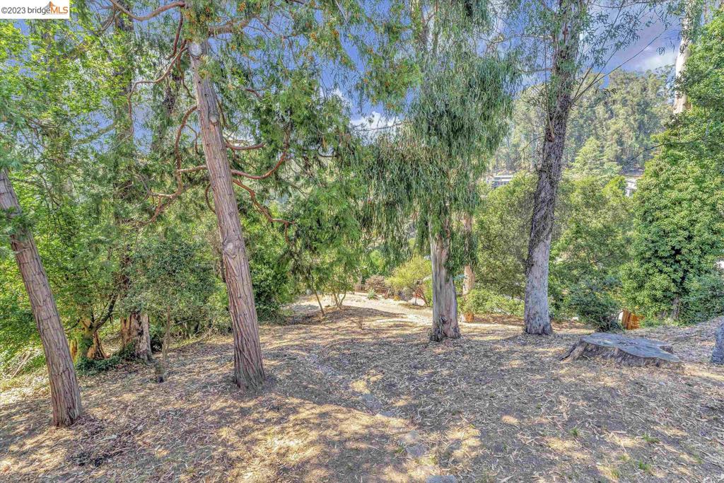 MONTCLAIR - Residential