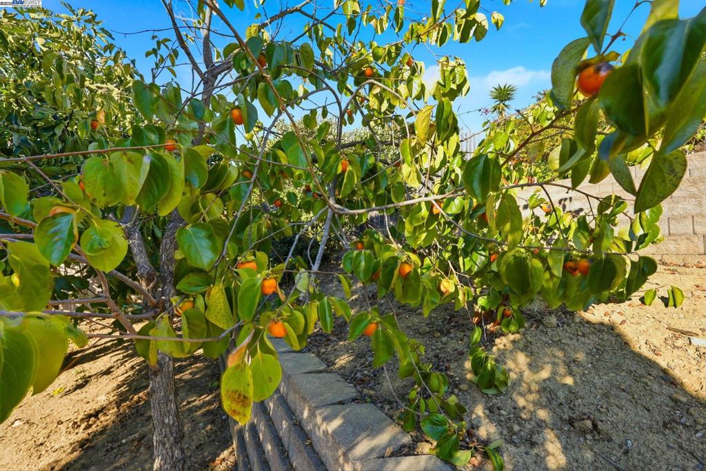 BRIAR RIDGE - Residential