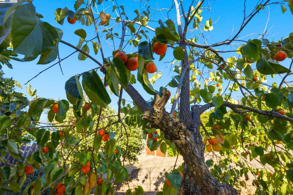 BRIAR RIDGE - Residential