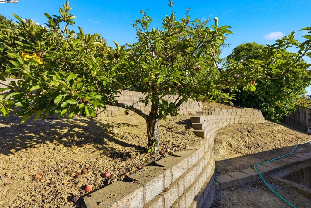 BRIAR RIDGE - Residential