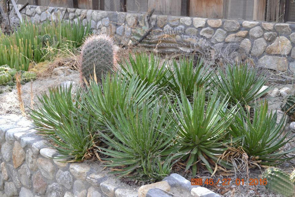 Not Applicable-1 - Land