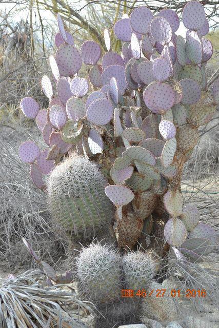 Not Applicable-1 - Land