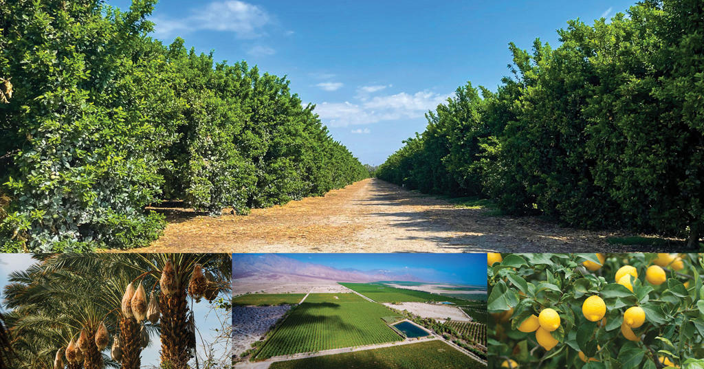 Not Applicable-1 - Land