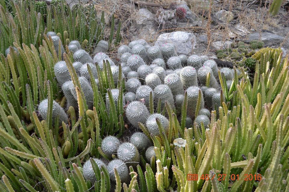 Not Applicable-1 - Land