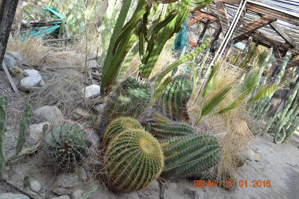 Not Applicable-1 - Land