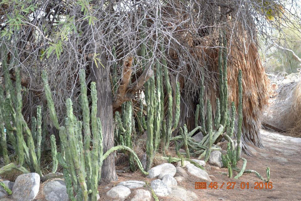 Not Applicable-1 - Land