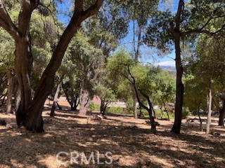 Beautiful Buckingham residential lot. Over one third of an acre with a gentle slope and shaded by mature trees. Adjoining lot also available. Water at the street. Enjoy Buckingham's community beach, boat launch and clubhouse. An excellent sought after neighborhood set under Mount Konocti and on the shores of Clear Lake.