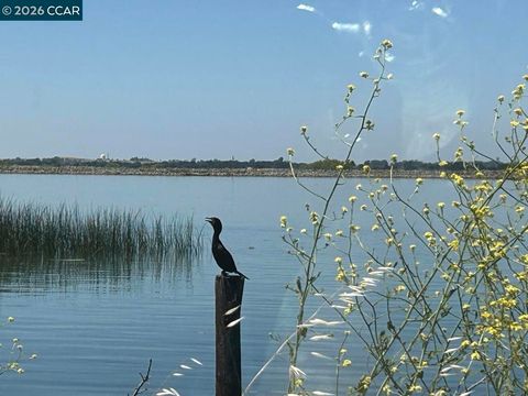Photo of 0 Bradford Island Rd, Oakley, CA 94561 (MLS # 41122634)