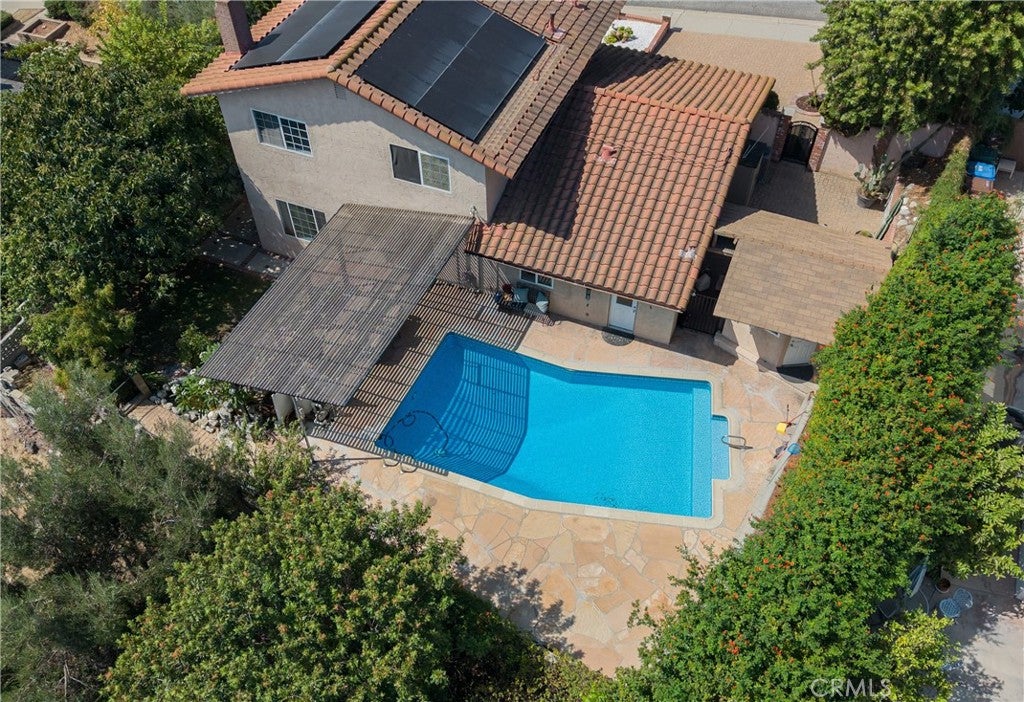 2122 Weeping Willow