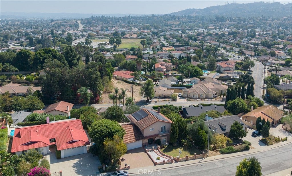 2122 Weeping Willow