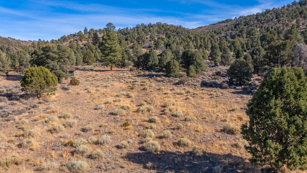 Not Applicable-1 - Land