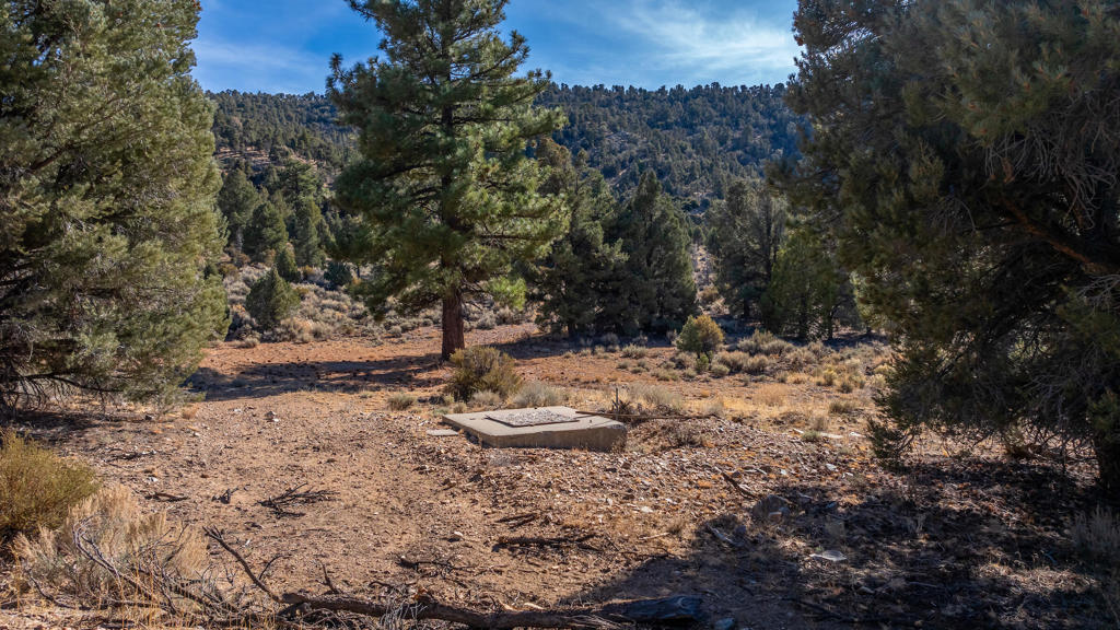 Not Applicable-1 - Land