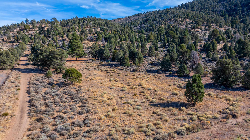 Not Applicable-1 - Land