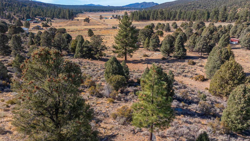 Not Applicable-1 - Land