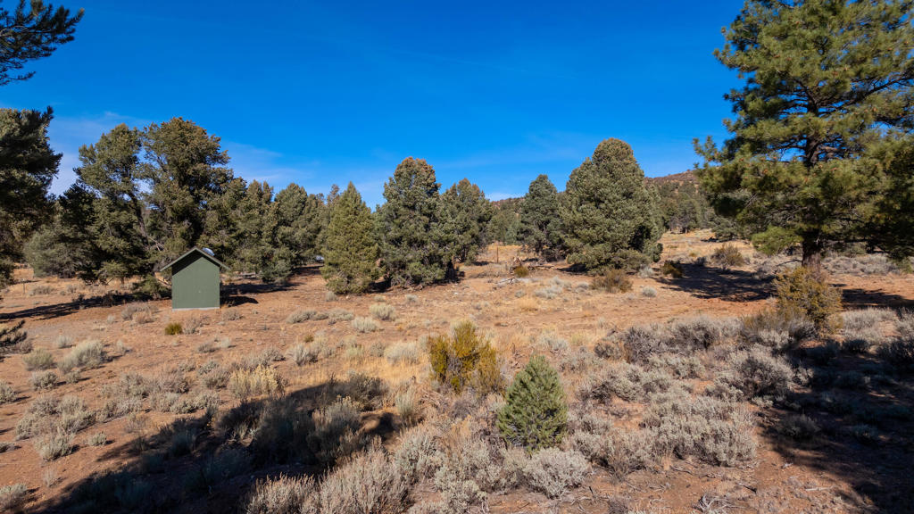 Not Applicable-1 - Land