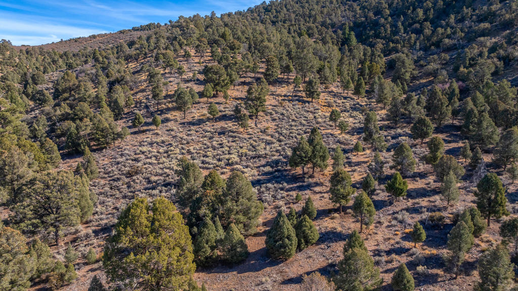 Not Applicable-1 - Land