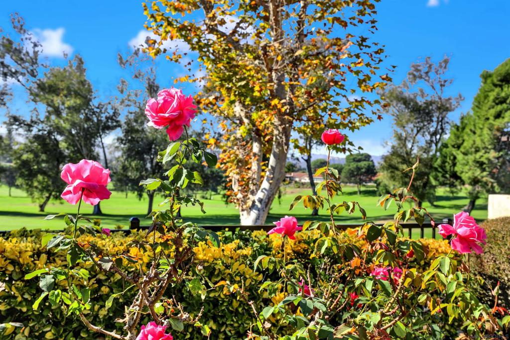 Rancho Bernardo - Residential