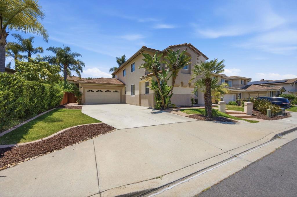 11478 Swan Lake
