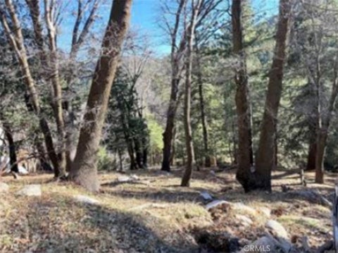Photo of 0 Thunderbird, Lake Arrowhead, CA 92352 (MLS # IG26160347)
