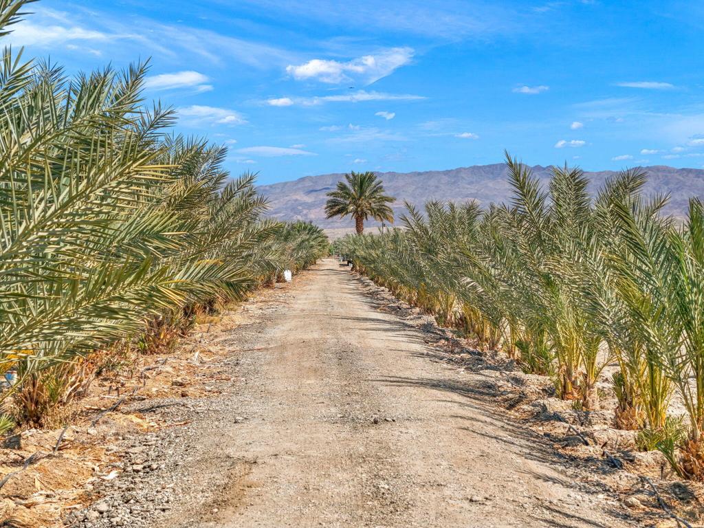 Not Applicable-1 - Land