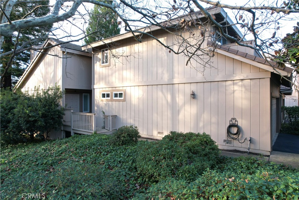 7423 Silver Birch