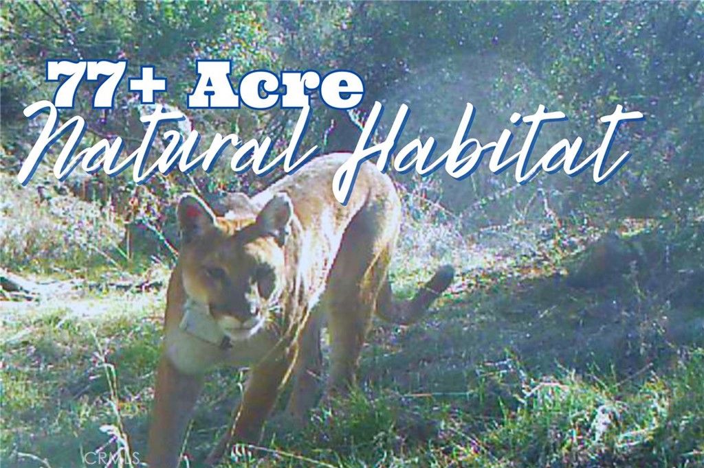 28618 Chihuahua Valley Road