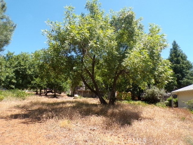 3252 Westwood Drive