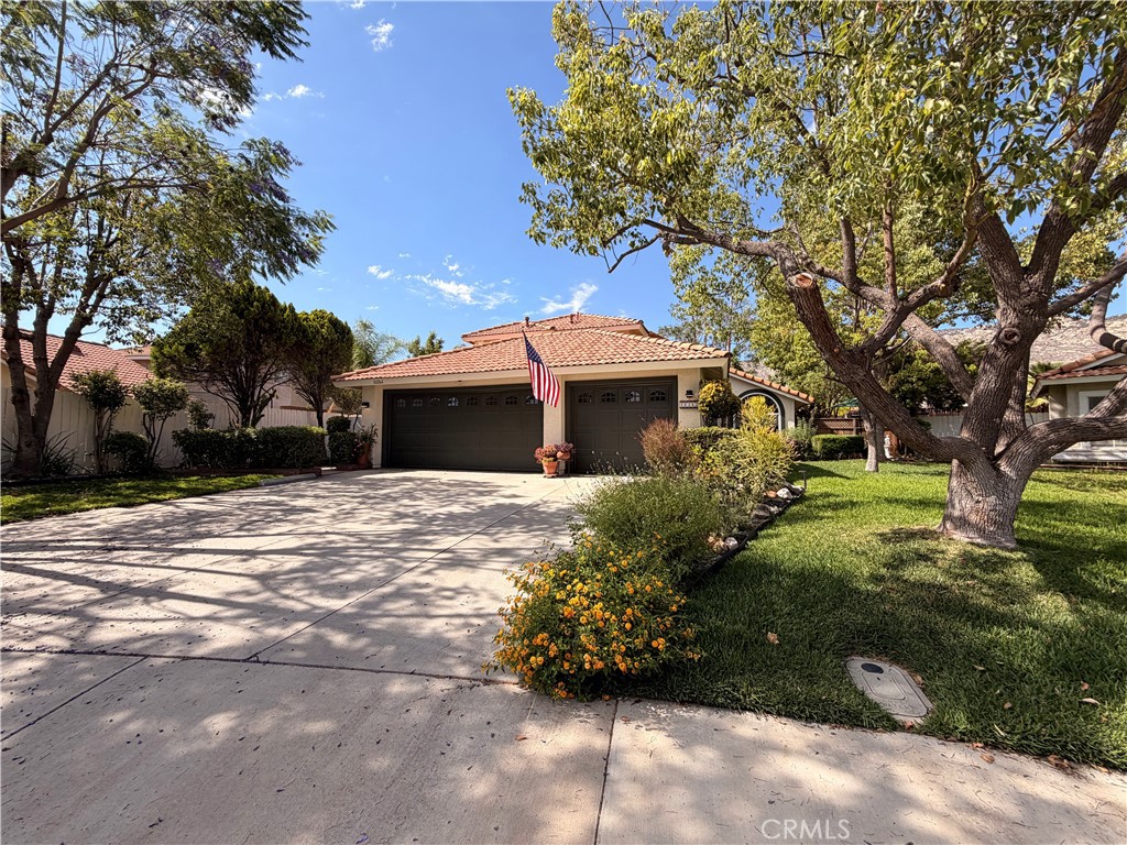 10262 Via Pastoral