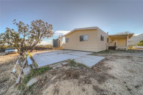 52565 wheeler anza ca 92539