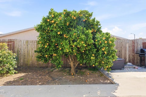 Tiny photo for 3090 Net Court, Oxnard, CA 93035 (MLS # V1-36486)
